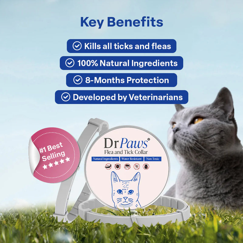 Flea and Tick Free Collar