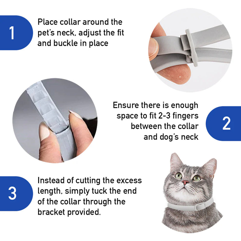 Flea and Tick Free Collar