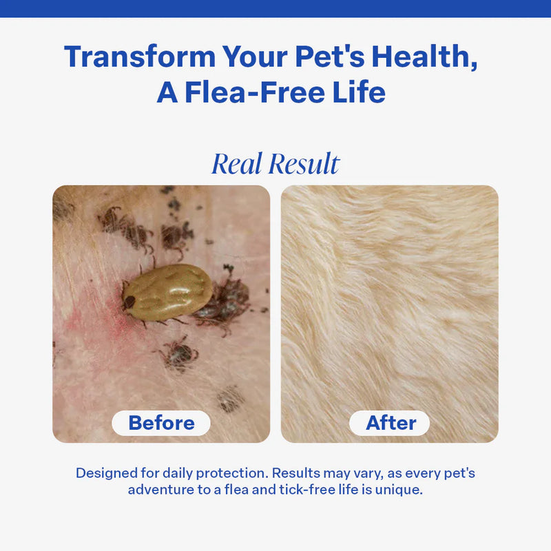 Flea and Tick Free Collar